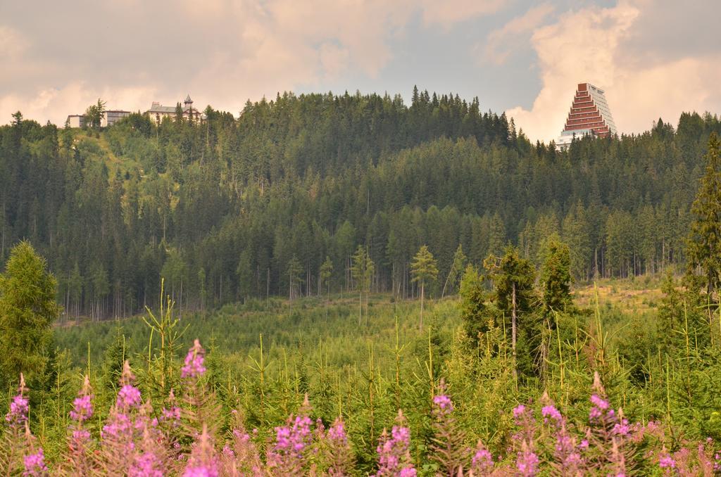 Apartman Panorama 213, Studio Comfort Štrbské Pleso Cameră foto
